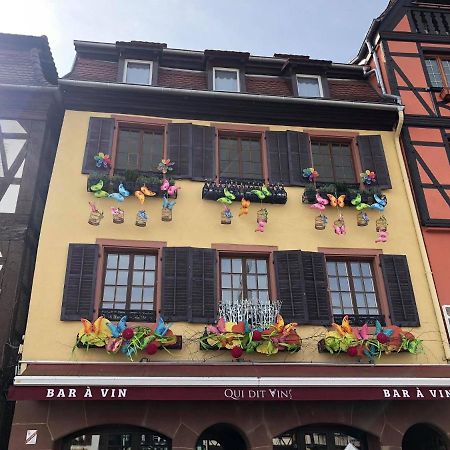 Les Appartements D'Alicia Obernai Exterior photo